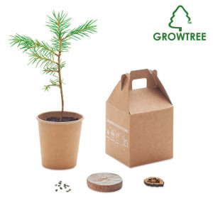 Eko balíček so semienkom stromu GROWTREE™ - Reklamnepredmety