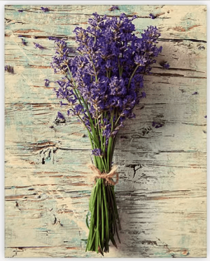 Drevený obraz Lavender - Reklamnepredmety