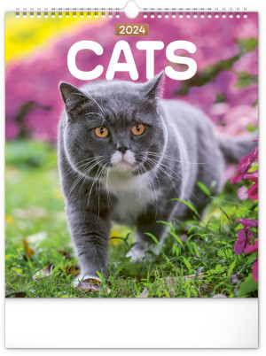 Nástenný kalendár Mačky 2024, 30 × 34 cm - Reklamnepredmety