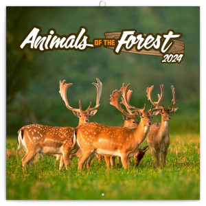 Poznámkový kalendár Zvieratká z lesa 2024, 30 × 30 cm - Reklamnepredmety