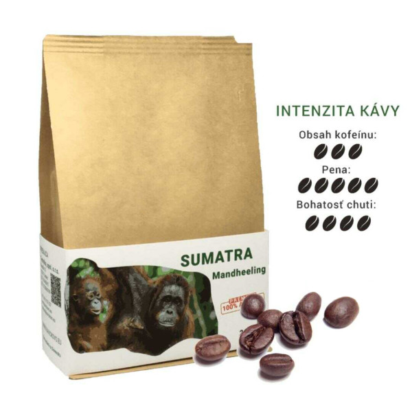 Kaffeebohnen Sumatra Mandheeling