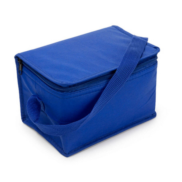 NT3656 Non-woven small cooler bag