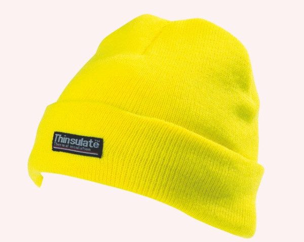 H-Vis 3M Thinsulate Hat