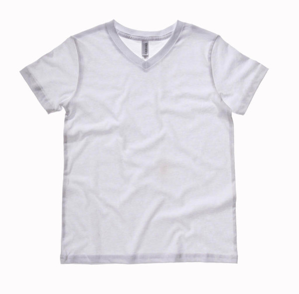 Unisex Jersey V-Neck T-Shirt