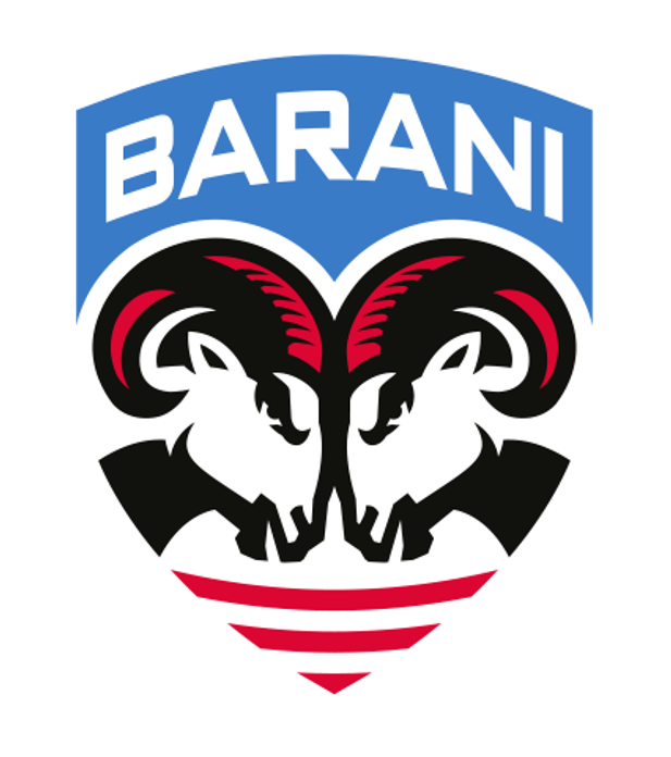 BARANI - Hokejová škola Michala Handzuša logo